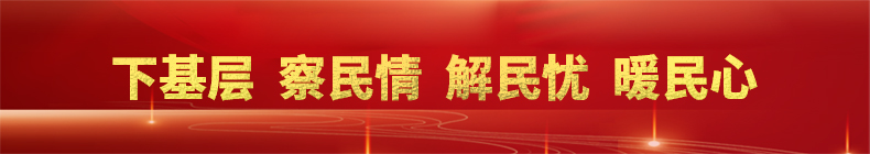  下基層察民情解民憂暖民心